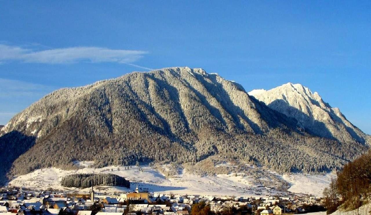 Panoramic Residence Зэрнешти Экстерьер фото
